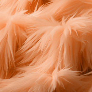 Pantone Color of the Year 2024: Peach Fuzz