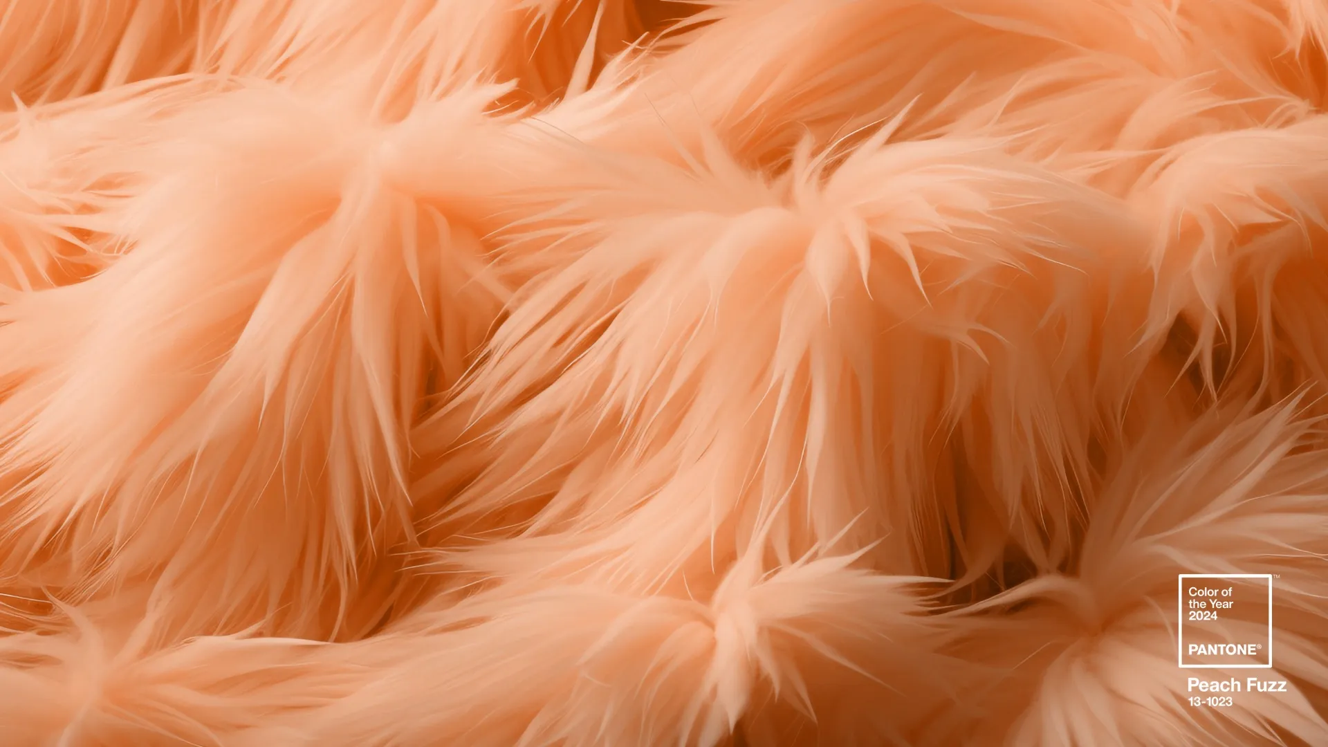 Pantone Color of the Year 2024, Peach Fuzz, courtesy Pantone.
